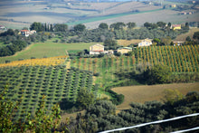Carica l'immagine nel visualizzatore di Gallery, Box Gastronomia Beltrami